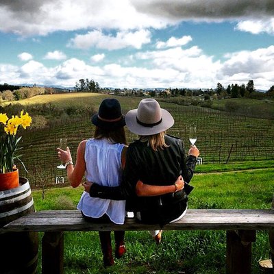 Iron Horse Vineyards by null