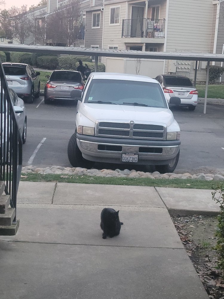 POINT NATOMAS APARTMENTS Updated September 2024 11 Photos 801 San