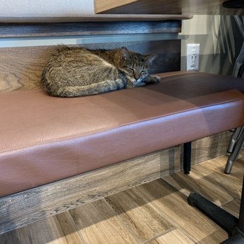 The Pet Wellness Center - Veterinarians Near Me - Phoenix, Arizona The Pet Wellness Center - Veterinarians Near Me - Phoenix, Arizona
