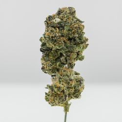 Mitch's Delivery - Lemon Trill from Lumpy's Flowers. Truly some of the finest herbs I have smoked this year. A magical blend of Lemonade x Reckless Rainbow!