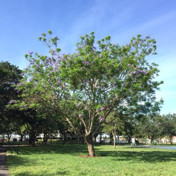 Miami Lakes Picnic Park - Parks Near Me - Miami Lakes, Florida Miami Lakes Picnic Park - Parks Near Me - Miami Lakes, Florida
