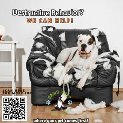 Home Manners. Destruction of furniture.
