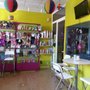 Photo of Animal Party