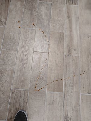 China Garden by null