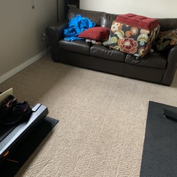 Formerly dirty TV room....hello, 3 kids + 1 dog.