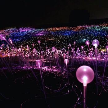 Sensorio - Sensorio lights - Art Galleries Near Me - Paso Robles, California