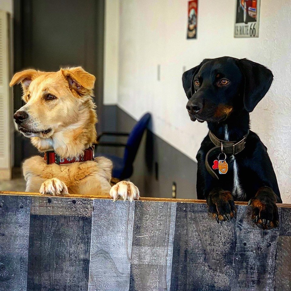 KEYSTONE AUTO TAGS Updated September 2024 7136 Steubenville Pike