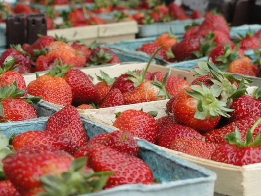 Hip Donelson Farmers Market by null