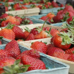 Hip Donelson Farmers Market