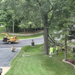A To Z Tree Service