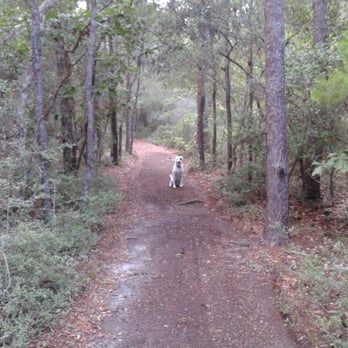 Rocky Bayou State Park - Happy dog, great trail - Parks Near Me - Niceville, Florida