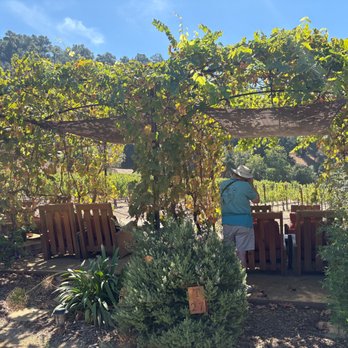 Old Creek Ranch Winery - Private Trellis seating. - Venues & Event Spaces Near Me - Ventura, California Old Creek Ranch Winery - Private Trellis seating. - Venues & Event Spaces Near Me - Ventura, California