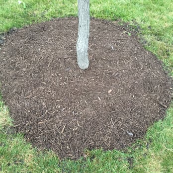 Ack Ack Nursery Company - Mulch - Nurseries & Gardening Near Me - Loves Park, Illinois Ack Ack Nursery Company - Mulch - Nurseries & Gardening Near Me - Loves Park, Illinois