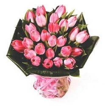 Shellies Flowers - Florists Near Me - Birmingham, XWM Shellies Flowers - Florists Near Me - Birmingham, XWM