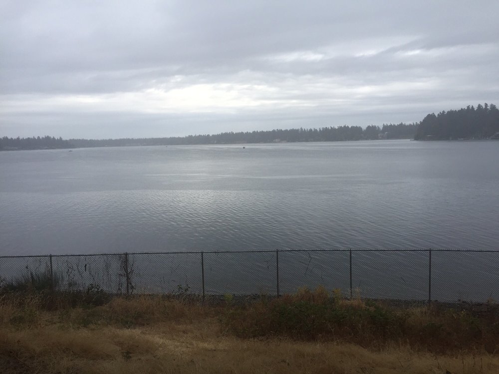 VA PUGET SOUND HEALTH CARE SYSTEM AMERICAN LAKE DIVISION Updated