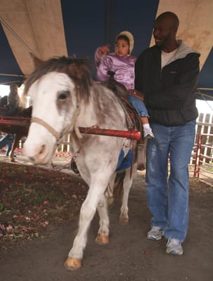 Curtis Orchard & Pumpkin Patch by null