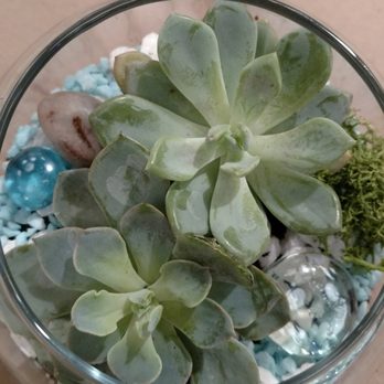 Blumz...by JRDesigns - Terrarium I made tonight! - Florists Near Me - Ferndale, Michigan