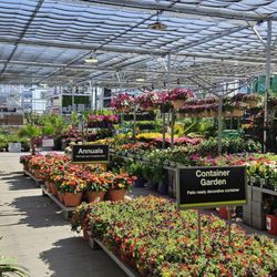 Home Depot