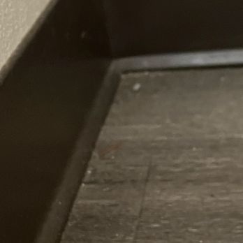 Xpress Wellness Urgent Care - Shawnee - Floor in patient room - Urgent Care Near Me - Shawnee, Oklahoma Xpress Wellness Urgent Care - Shawnee - Floor in patient room - Urgent Care Near Me - Shawnee, Oklahoma