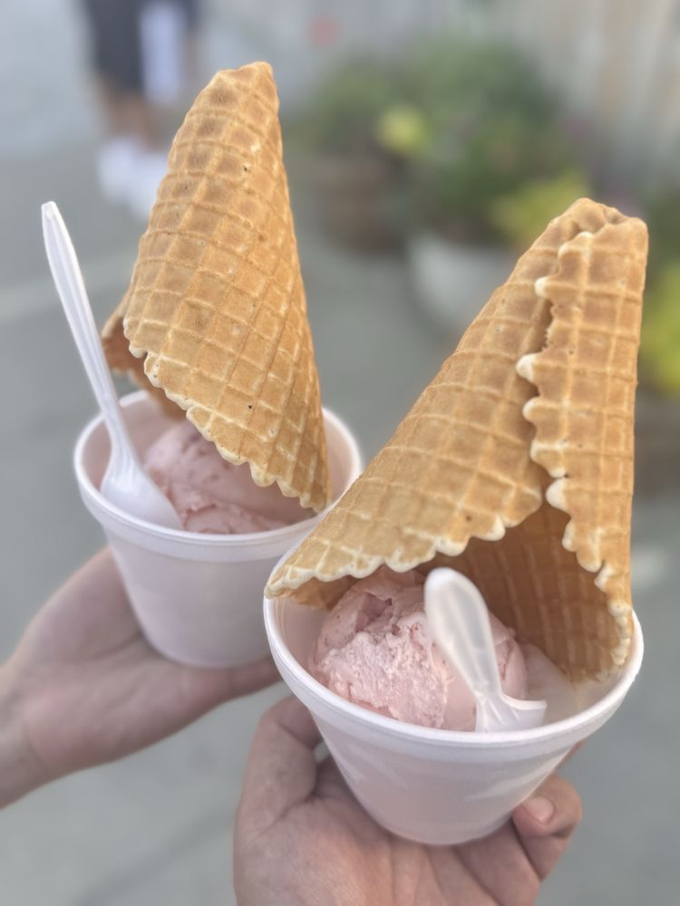 Achusnet Creamery Logo