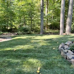 Haughey Brothers Landscaping