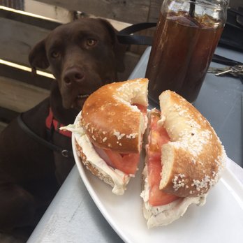 Proper Bagel - salt bagel w dill pickle cream cheese + tomato & onion. YUM. (drooling dawg agrees) - Bagels Near Me - Nashville, Tennessee