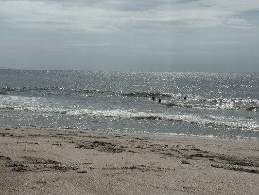 Coot's Bar & Grill by null