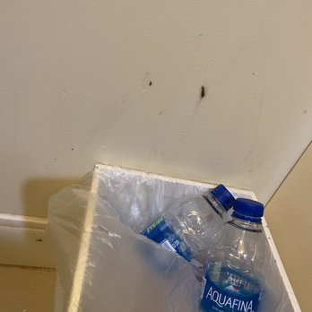 Hyatt Regency Sarasota - Filthy wall above trash - Hotels Near Me - Sarasota, Florida