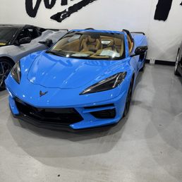I saw so many beautiful C8s, I was so excited! I saw so many beautiful C8s, I was so excited!