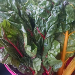Johns Creek Farmers Market - A rare find: Rainbow chard.