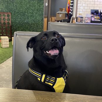 Dawg Park - Hot Dogs Near Me - Glenview, Illinois