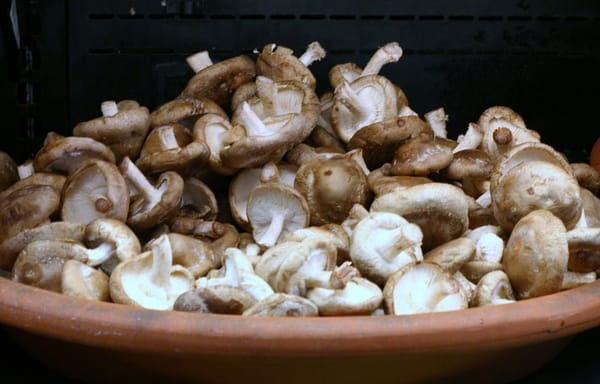 Wildberries Marketplace by null