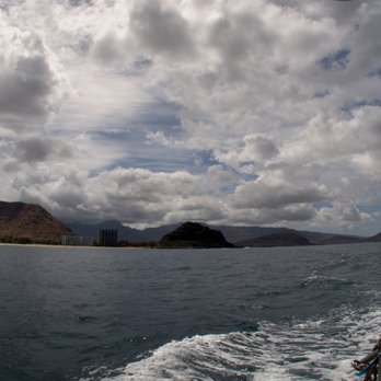 Island Divers Hawaii - Saturday was a beautiful day to dive the Westside! - Scuba Diving Near Me - Schofield Barracks, Hawaii Island Divers Hawaii - Saturday was a beautiful day to dive the Westside! - Scuba Diving Near Me - Schofield Barracks, Hawaii