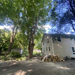 Burnett’s Tree Service - Large trim