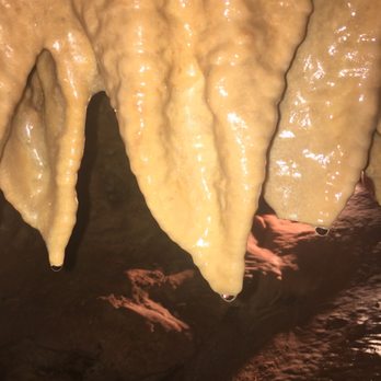 Inner Space Cavern - Tours Near Me - Georgetown, Texas