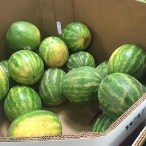 SAM’S CLUB - 109 Photos & 39 Reviews - 3383 Buford Dr, Buford, Georgia ...