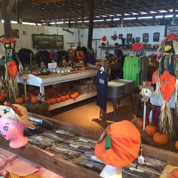 Maple Lane Farms & Corn Maze - Wonderful gift shop with every thing from a guitar playing skeleton to Tshirts of the current maze. - Pumpkin Patches Near Me - Greenback, Tennessee