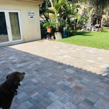 National Brick Pavers - a dog standing on a patio - Masonry/Concrete Near Me - Pompano Beach, Florida National Brick Pavers - a dog standing on a patio - Masonry/Concrete Near Me - Pompano Beach, Florida