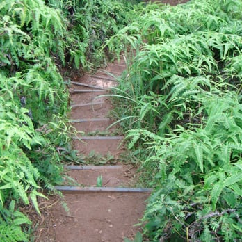 Wiliwilinui Ridge Trail - Hiking Near Me Wiliwilinui Ridge Trail - Hiking Near Me