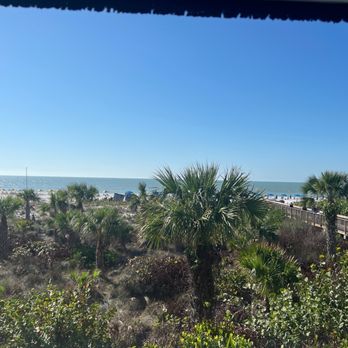 Stilts Bar and Grill - View in November - American Near Me - Marco Island, Florida Stilts Bar and Grill - View in November - American Near Me - Marco Island, Florida