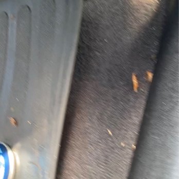Avis Car Rental - Roaches - Car Rental Near Me - Melbourne, Florida Avis Car Rental - Roaches - Car Rental Near Me - Melbourne, Florida