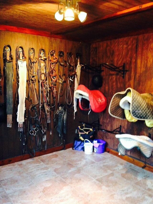 THE SADDLE CLUB Updated September 2024 6353 McDaniel Rd, College Grove, Tennessee Horse