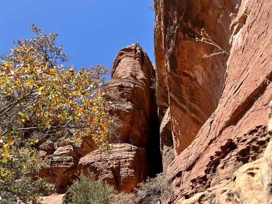 Boynton Canyon Trail by null