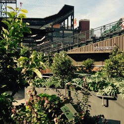 Farmscape - The Farm at AT&T Park