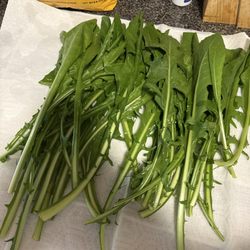 Golden Farm Market - Got 5 bunches of dandelions and this is all I got. I'll be embarrassed if I was the owner of the business.