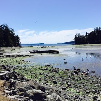 Buck Bay Shellfish Farm - Lots of yummy clams come out of Buck's Bay! - Seafood Markets Near Me - Olga, Washington Buck Bay Shellfish Farm - Lots of yummy clams come out of Buck's Bay! - Seafood Markets Near Me - Olga, Washington