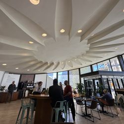 Astute Coffee - Wide-angle shot of the interior of Astute Coffee downtown, a warm, open circular space with a neat, angled design.