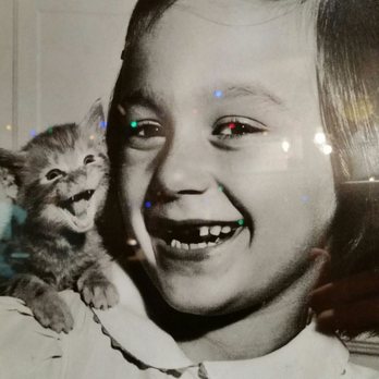 Buca di Beppo Italian Restaurant - The cutest photo on the wall at Buca di Beppo! - Italian Near Me - Shenandoah, Texas