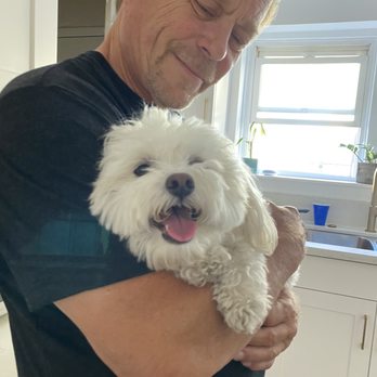 Pet Haven Grooming - Pet Groomers Near Me - Burbank, California