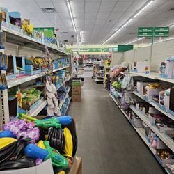 Dollar Tree - Aisles